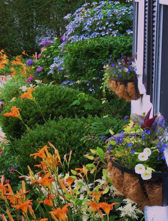 The 1720 House Vineyard Haven Exterior foto
