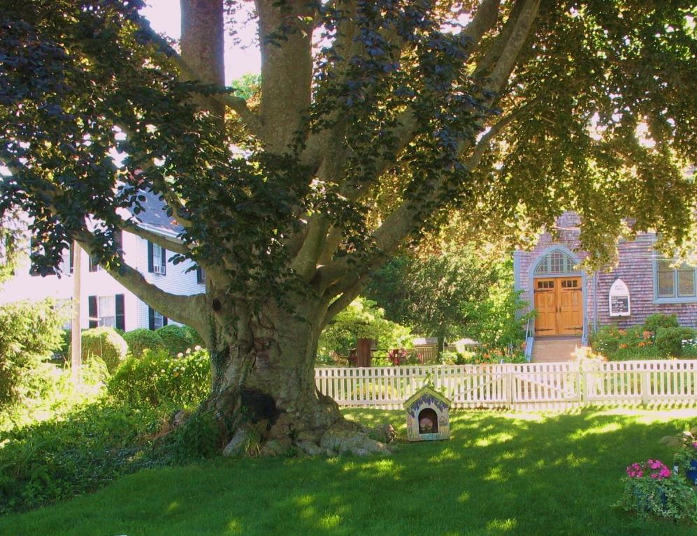 The 1720 House Vineyard Haven Exterior foto